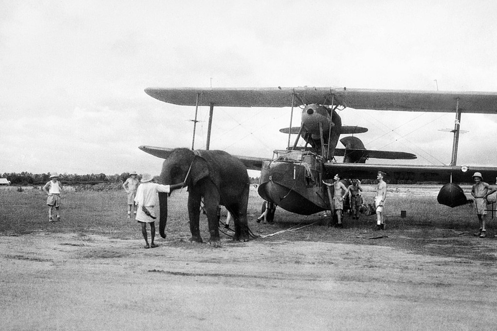 Slon na vojenském letišti v Indii za druhé světové války