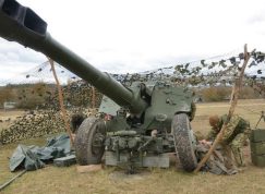 D-20 v palebné pozici