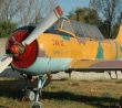 Jakov Jak-52