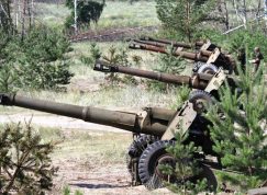 Baterie houfnic D-20