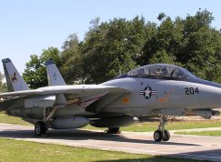 F-14 Tomcat