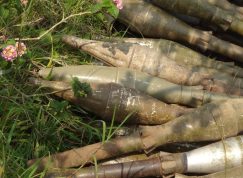 Hlavice RPG-7
