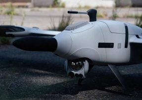 Vector AI WASP