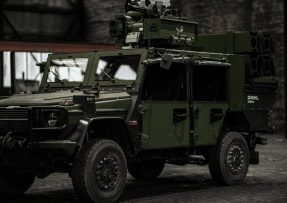 Hornet