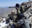 Afghánská fronta Svobody, povstalci proti Tálibánu