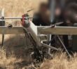 Dron Palytsya