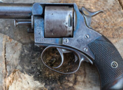 Revolver Bulldog