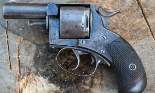 Revolver Bulldog