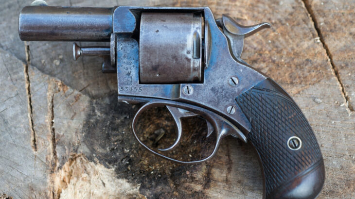 Revolver Bulldog