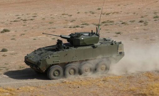 BVP Dragón