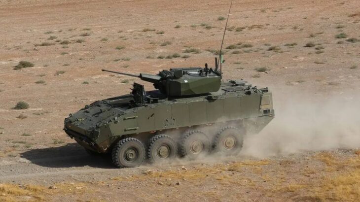BVP Dragón