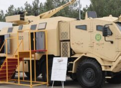 CWS-30 Viking