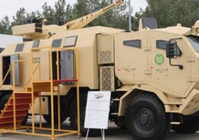 CWS-30 Viking